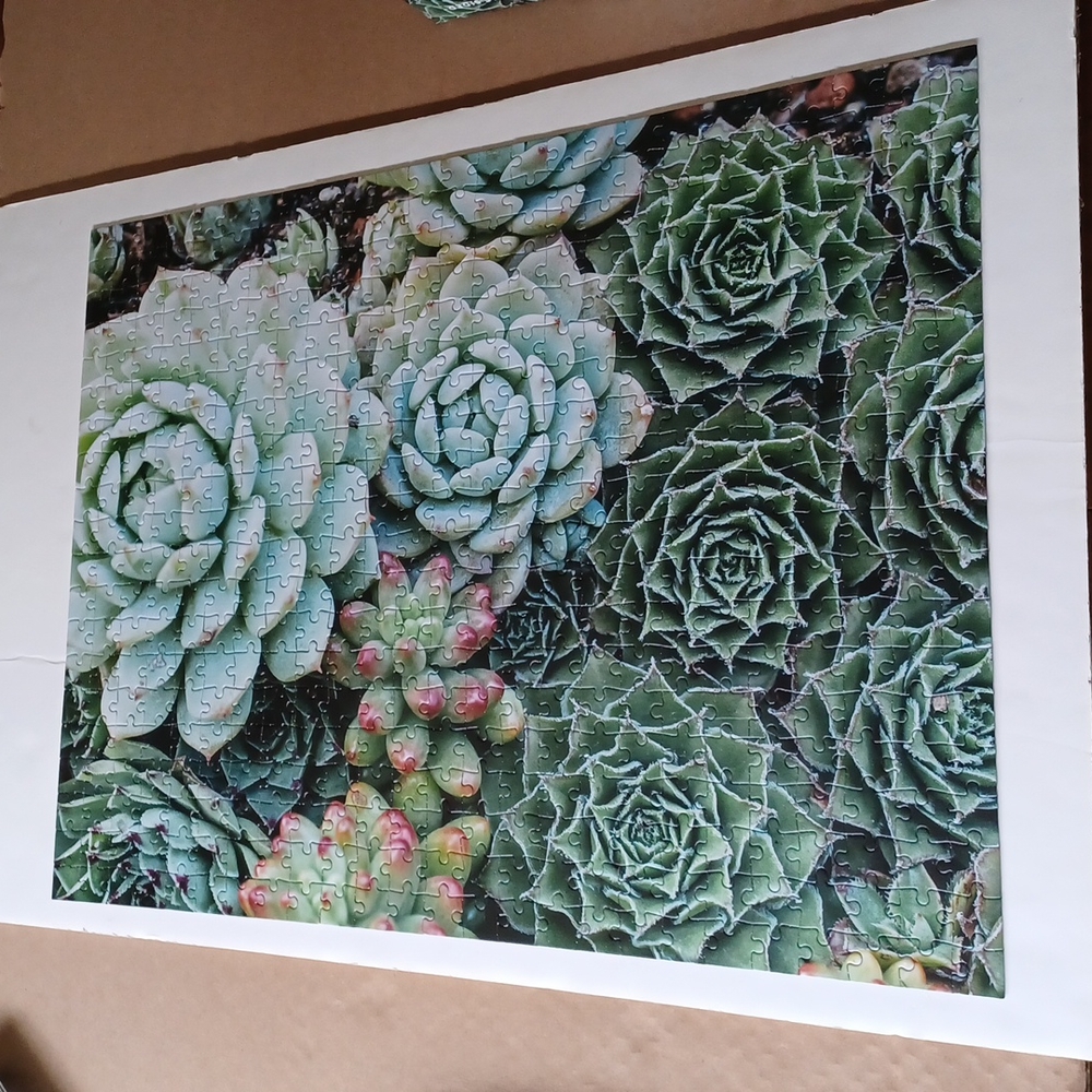 🧩 Succulent Garden Double sided 500 piece puzzle - Picture 3 of 6